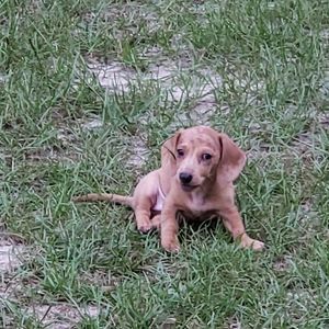 Meet your Posher, Paula